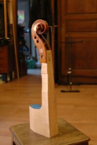 Enture d’une tête de violoncelle